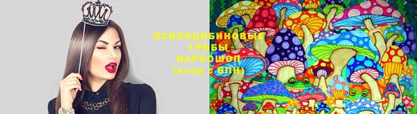 гашиш Балахна